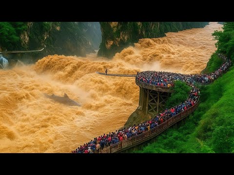 UNSEEN WONDERS OF PLANET | One in A Billion Moments in Nature