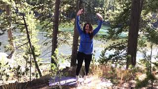 Yellowstone River and pines #3