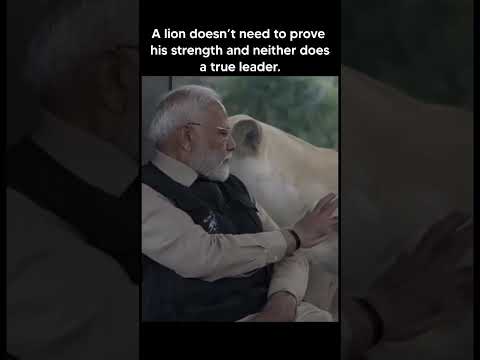 A lion doesn't need to prove his strength and neither does a true leader #shorts #viralshorts