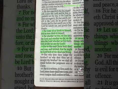 Romans 14 #bibleverse #biblestudy #christian #christianity #romans #christianmom #shortsfeed