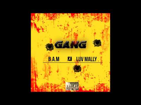 LUV MALLY - GANG (Ft.) B A M