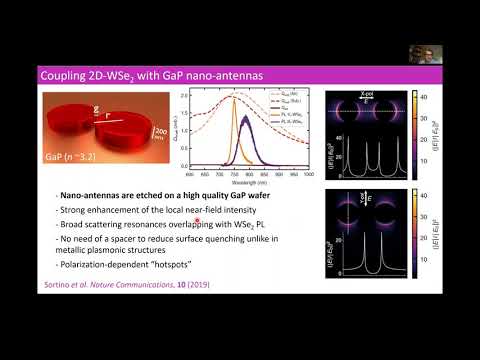 TARTAKOVSKII Alexander, Enhanced light-matter interaction in 2D semiconductors with nano-antennas