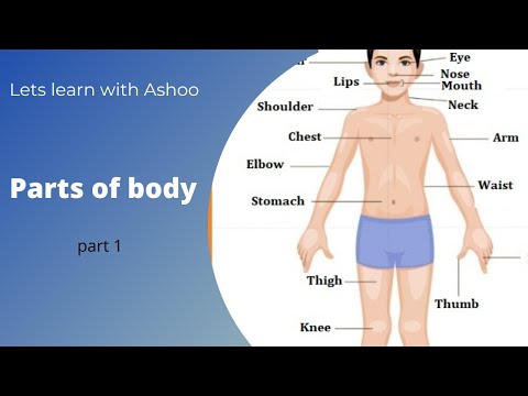 External part of body name in English || parts of body|| human parts of body