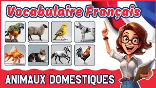 LES ANIMAUX DOMESTIQUES | Apprendre le vocabulaire français | Apprentissage facile pour débutants