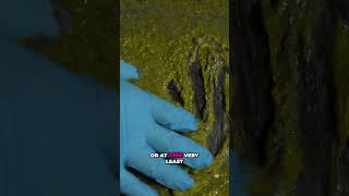 No more gunk going down your drain  #screenprinting