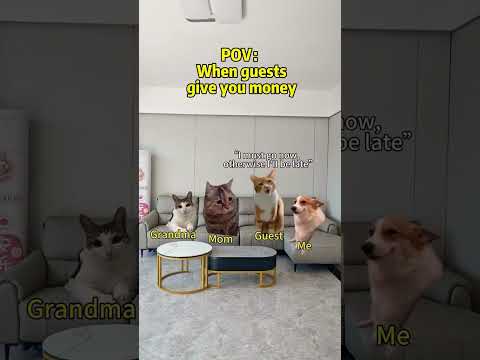 Guest give 💰#cat #catmemes #phonk #fyp #viral #shorts #memes #funny #foryou #comedy