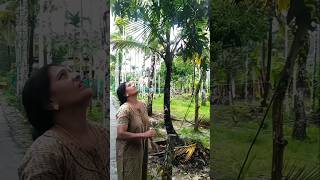 ഗർഭിണികളുണ്ട് സൂക്ഷിക്കുക #achuanjufamily #trending #entertainment #youtubeshorts #shorts #funny