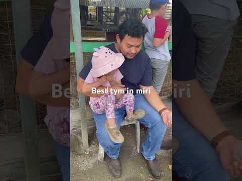#animals #feeding #happy #zoo #family