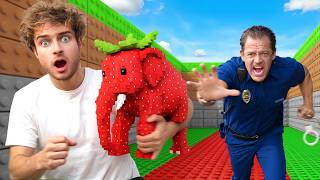 I Played STEAL A BRAINROT In Real Life! (Roblox)