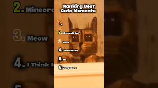 Ranking Best Cats Moments