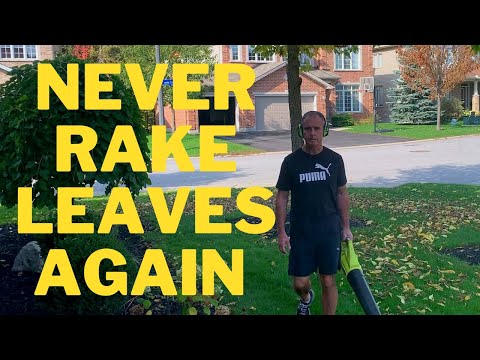 Never Rake Leaves Again - Why you should be Mulching Your Leaves