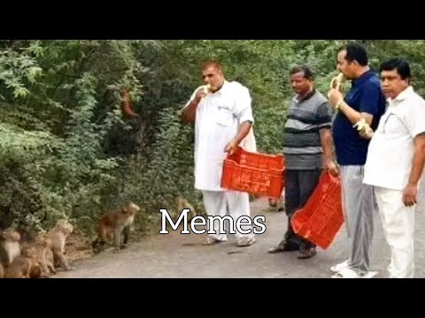Funniest Memes You Missed This Week 😂🔥 | Try Not To Laugh Challenge 2025 || PART 4