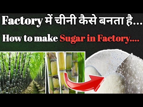 How to make Sugar in factory.. #machine #factory #factoryprocess #factorymakingprocess