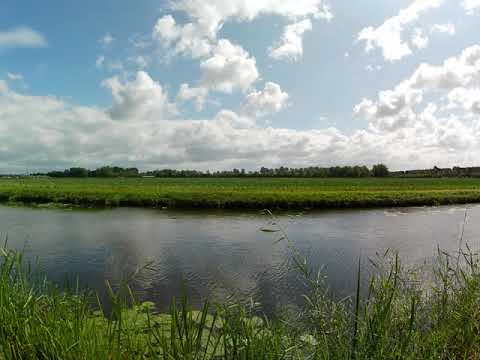Timelapse achtertuin