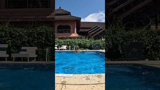 #lakesongresort #poollife