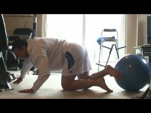 STABILITY BALL CORE PROGRESSIONS