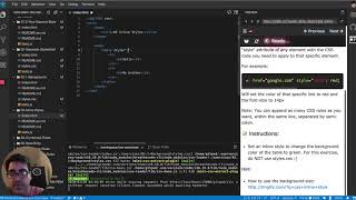 How to do inline styles in css - CSS Interactive Exercises/Course