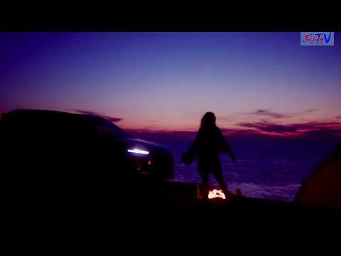 FREE AS A BIRD / RELAXING MUSIC