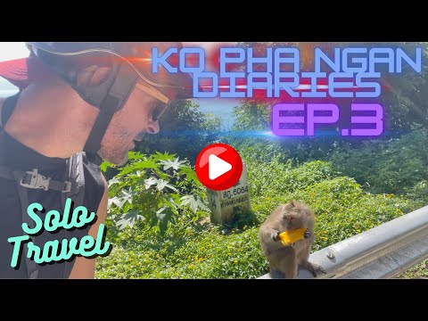 Koh Phangan Diaries - Episode 3: A Beach Pig, Full Moon Party Creator, and lots of Monkeys
