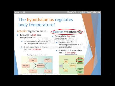 Chapter 12, Question 1