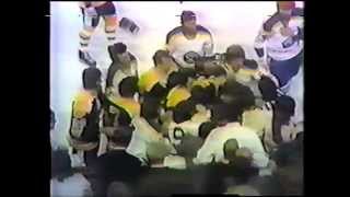 Bruins/Sabres Bench-Clearing Brawl #2