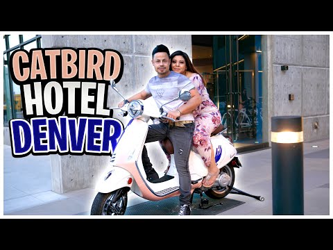 😃 Our Stay at the Catbird Hotel Denver - RiNo Art District | Luis Roman 🔥