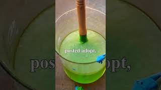 I Accidentally Kidnapped My Neighbor’s Cat #funnyredditstory #catkidnap  #comedy #sirmeowington