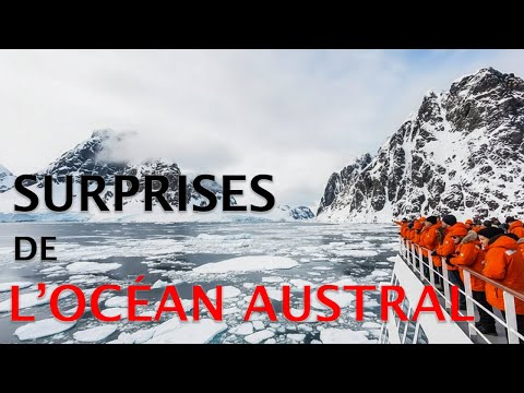 L’océan Austral : les eaux les plus extrêmes et les plus impitoyables de la planète