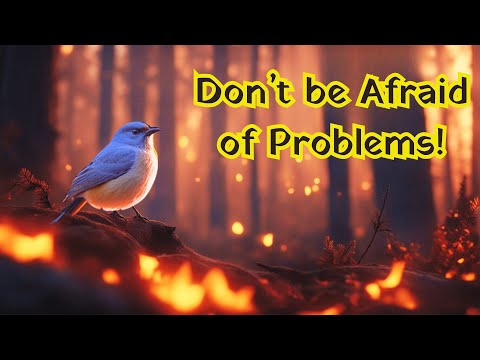The Story of  Little Bird | Bedtime Story For Kids #kidsstories #bedtimestories #moralstory