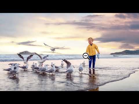 Features Adobe Photoshop Elements 2021 10