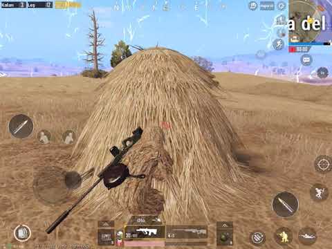Solo Win (Easy)