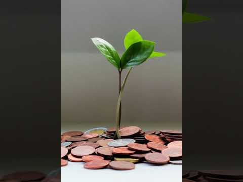 The Psychology of Money