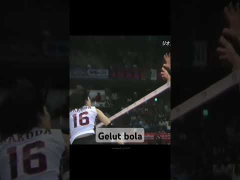 Beauty and volly