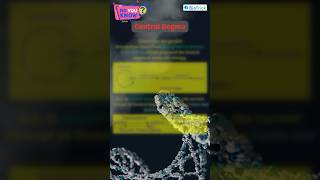 Central Dogma | Molecular Biology | DNA | Class 12 Biology #neet2025 #molecularbasisofinheritance