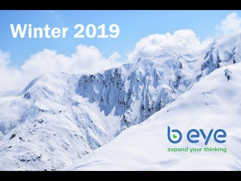 B EYE Winter Team Building 2019
