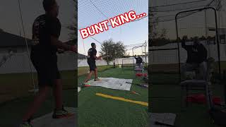 #baseballszn #baseballshorts #shorts #summeronshorts