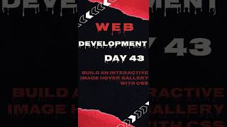 🗾Day 43: Build an Image Hover Gallery with CSS (No JS) #htmlcss #frontendcourse #viralshort #cssday