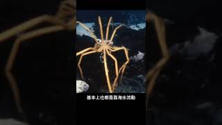 這種廢物證明瞭“進化論”有瑕疵 | 雅桑了嗎