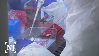 NJ becomes hub for development of COVID-19 drugs