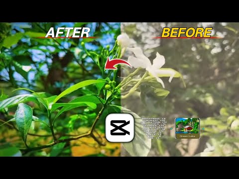 Cinematic 4K Colour Grading In Capcut | Capcut Colour Grading Tutorial | #abhishekediting #capcut 