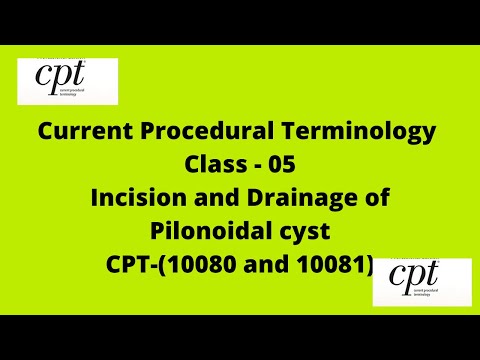 CPT - Incision and Drainage of Pilonoidal cyst | 10080 & 10081 |