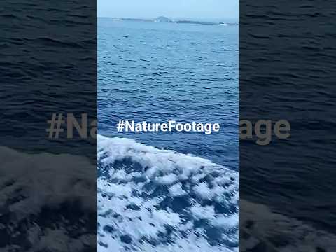 Explore the Mysteries of the Ocean: Amazing Underwater Footage
