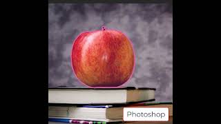 Photoshop Object Selection Tool