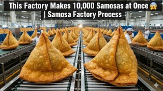 This Factory Makes 10,000 Samosas at Once 😱 | Samosa Factory Process