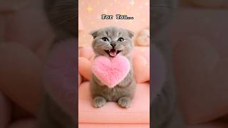 Cute kitty giving you her heart ❤️ #cat #catshorts #ytshortsusa #ytshorts #trendingshorts #tranding