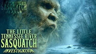 The Little Tennessee River Bigfoot Investigation - Smoky Mountain Sasquatch Search 
