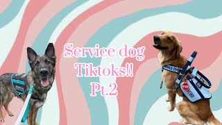 Service dog tiktoks pt 2! *30 mins*