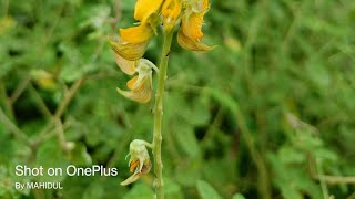 oneplus note2  DSLR mod video awesome 😎#oneplus #note2