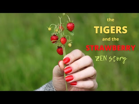 ПРИТЧА О ЗЕМЛЯНИКЕ  - TIGERS and STRAWBERRY ( #zenkoans #englishsubtitles )