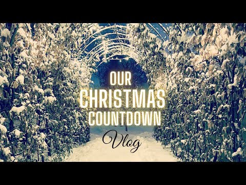 #15 Our Christmas Countdown: Making Christmas Treats, Decorating, and More! | December Vlog